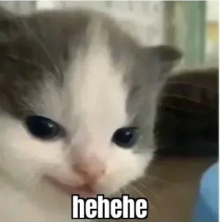 Sticker 😁 Bittuz pack