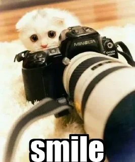 Telegram sticker 🙂 Bittuz pack