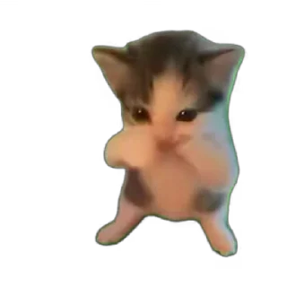 Video sticker 😀 Meow Meow 2 @Princeny4