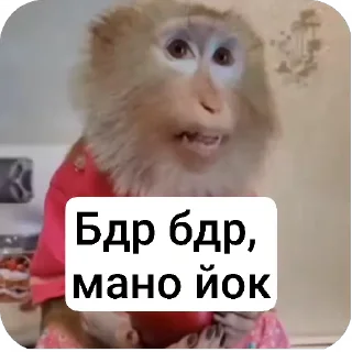 Video sticker 😐 Хехе