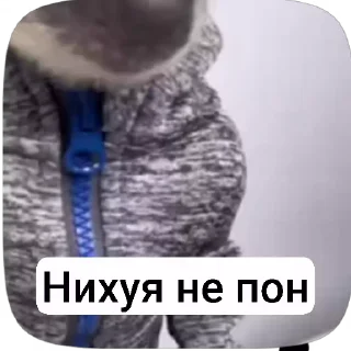 Video sticker 🌟 Хехе