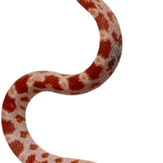 Telegram sticker 😜 Random Pack @Lucifer_DL