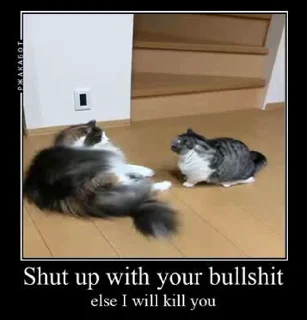 Video sticker 🤬 Komaru @komaru by @cybersecbyte :: @fStikBot