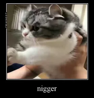 Video sticker 🤯 Komaru @komaru by @cybersecbyte :: @fStikBot