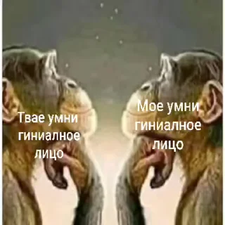 Video sticker 😈 @yaziktembot <--- стикеры тут