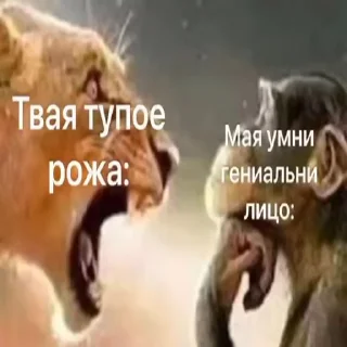 Video sticker 😈 @yaziktembot <--- стикеры тут