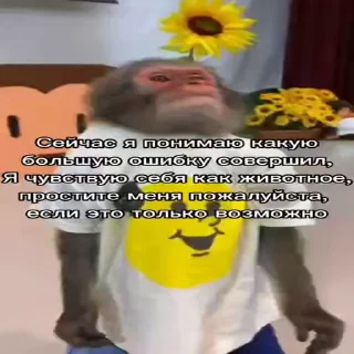 Video sticker 😈 @yaziktembot <--- стикеры тут