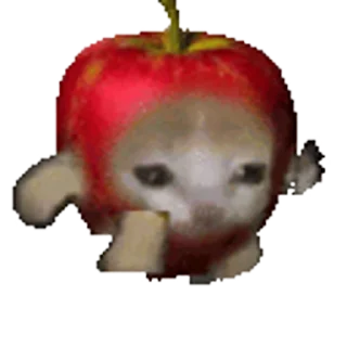 Telegram stiker 🐈 Больше стиков тут: @stikery4