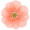 Video sticker 🌼 watercolor flowers...