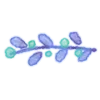 Sticker ➖ watercolor flowers  ♡  @ririmoji
 by NAKAYUKA (line)