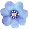 Sticker 🌼 watercolor flowers  ♡  @ririmoji
 by NAKAYUKA (line)