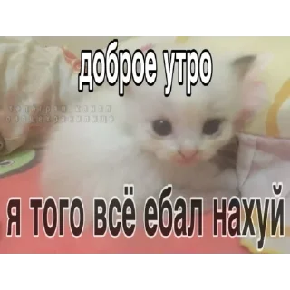 Telegram sticker 😘 Proshka