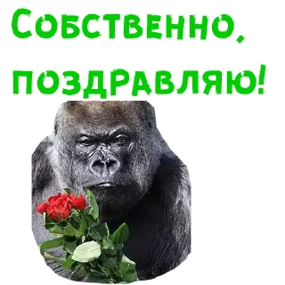 Sticker 🌷 Женский день :: @animesticks
