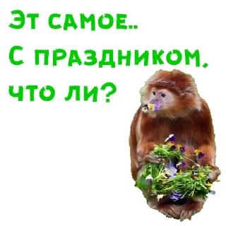 Video sticker 🥀 Женский день :: @animesticks