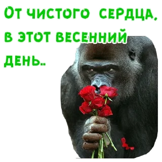 Video sticker 🥀 Женский день :: @animesticks