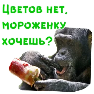 Телеграм стикер 💐 Женский день :: @animesticks