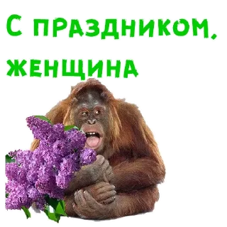Телеграм стикер 🌹 Женский день :: @animesticks