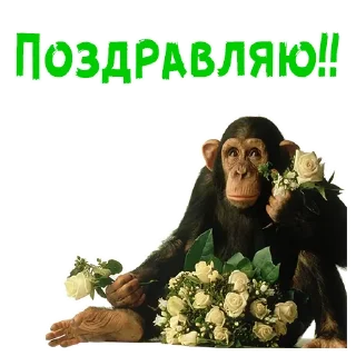Телеграм стикер 🌹 Женский день :: @animesticks