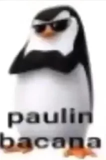 Telegram sticker 🌟 HumorNegrão