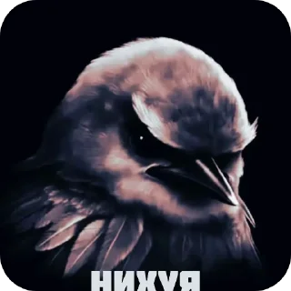 Video sticker 🖼 У ЙОТИКА