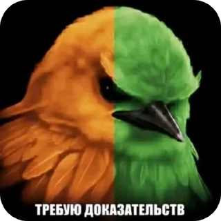 Telegram stiker 🐦 У ЙОТИКА