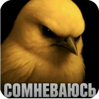 Video sticker 🐦 У ЙОТИКА