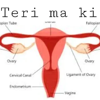 Video sticker ✔️ Mkc