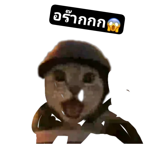 Телеграм стикер 🖼 Pao put pae