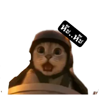 Video sticker 👍 Pao put pae