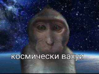 Video sticker 🌌 Вахуи :: @fStikBot