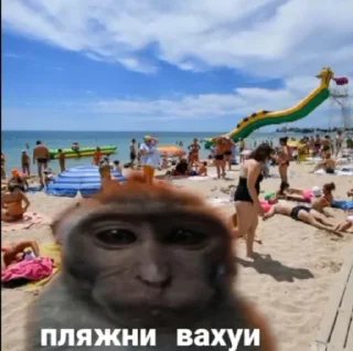 Telegram sticker 🏖 Вахуи :: @fStikBot