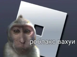 Video sticker 👶 Вахуи :: @fStikBot