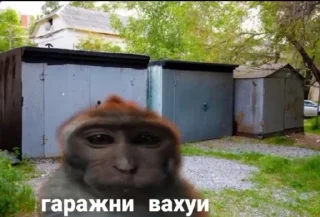 Telegram sticker 🏚 Вахуи :: @fStikBot