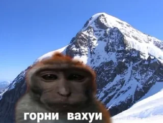 Telegram sticker 🏔 Вахуи :: @fStikBot