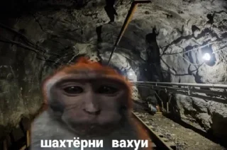 Telegram sticker ⛏ Вахуи :: @fStikBot