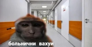 Telegram sticker 🏥 Вахуи :: @fStikBot