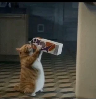 Telegram sticker 😭 @vghiix