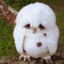 Video sticker 😞 Cool