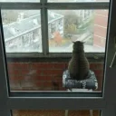 Telegram sticker 😞 Cool