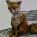 Telegram sticker 😐 Cool