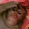 Video sticker 🤨 712 тегшма :...