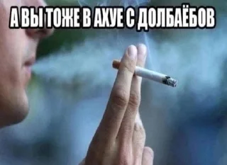 Video sticker 🌟 еще чаще выебывайтесь :: @fStikBot