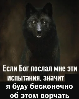Telegram stiker 🌟 еще чаще выебывайтесь :: @fStikBot