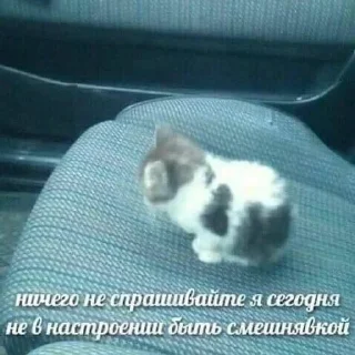 Telegram sticker 👎 Больше стиков тут: @stikery4