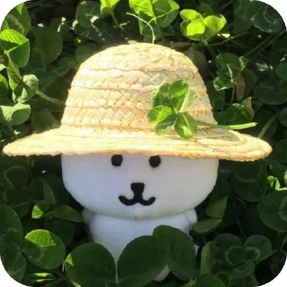 Video sticker 🫥 chy