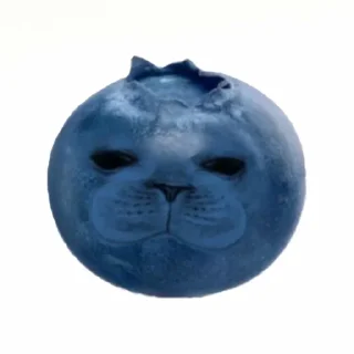 Video sticker 🤩 бякиши