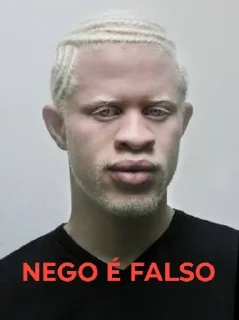 Telegram sticker 😃 HUMOR NEGRO (não é racismo deixa de ser burro