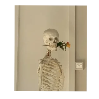 Video sticker 🧸 Скелеты 💀💀💀