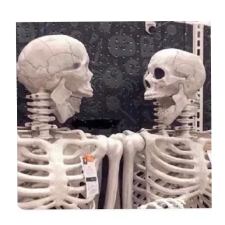 Telegram sticker 🗿 Скелеты 💀💀💀
