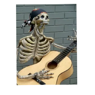 Video sticker 🎸 Скелеты 💀💀💀